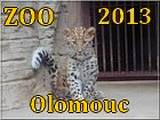 Olomouc 2013
